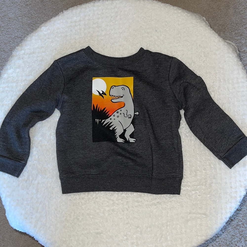 Dinosaur Sweater